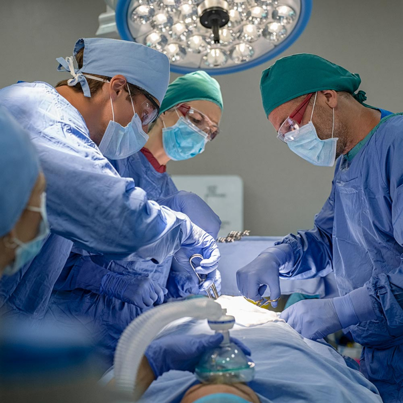 Cirurgião Cardiologista Agendar Próximo a Travessa Caligasta - Cardiologista para Gestante